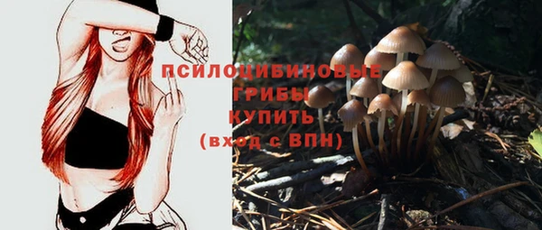 молекула духа Всеволожск