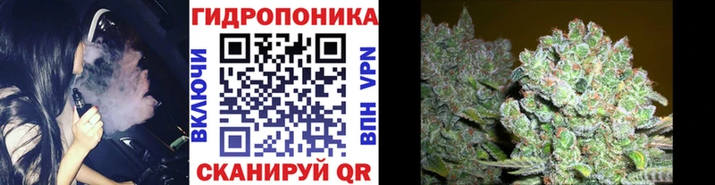 ОМГ ОМГ ССЫЛКА  Мамоново  Канабис AK-47 